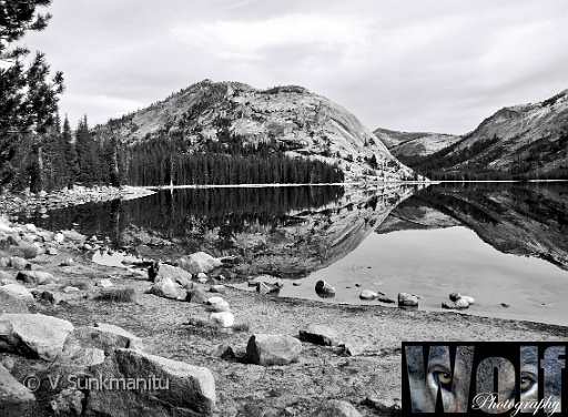 Reflections Yosemite 005 Copyright Villayat Sunkmanitu.jpg